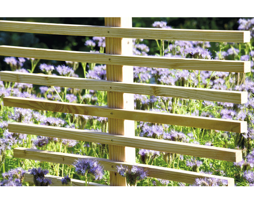 Holzspalier im Garten mit blühenden Pflanzen