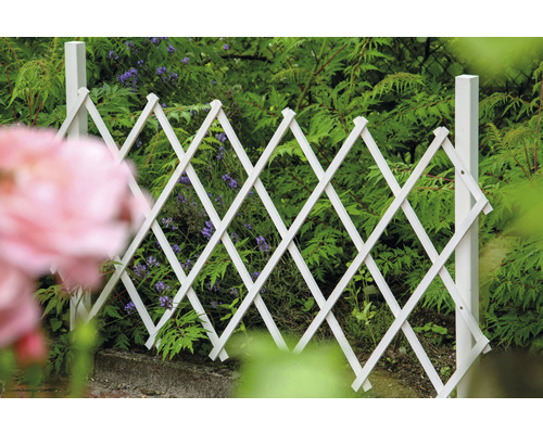 Weiße Rankhilfe aus Holz vor Pflanzen im Garten