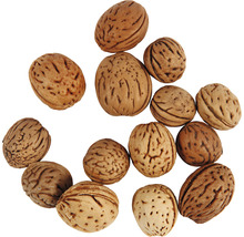 Nüsse 25 g