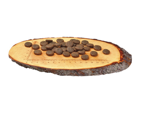 Hundefutter auf Holzbrett