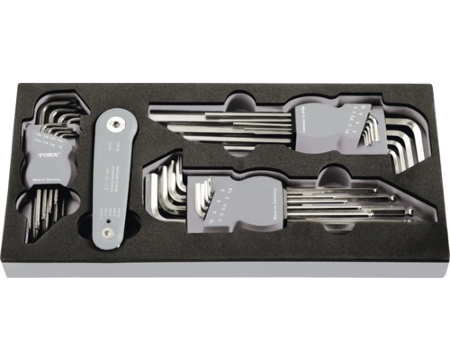 Inbusschlüsselsatz mit Torx in einer Aufbewahrungsbox