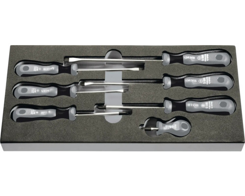 Schraubendreher Set mit Schlitz und Kreuzschlitz in Werkzeugkiste