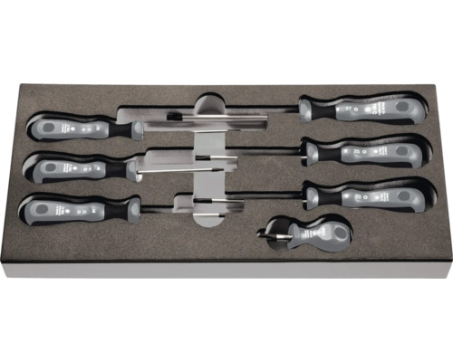 Schraubendreher Set mit Torx Schraubendrehern und Innensechskantschlüsseln in Werkzeugkiste