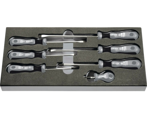 Schraubendrehersatz mit verschiedenen Schraubendrehern in einer Aufbewahrungsbox