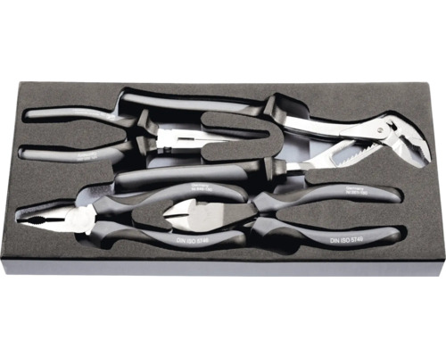 Zangenset in Schaumstoffeinlage