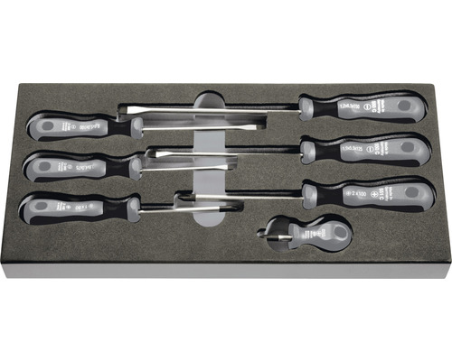 Schraubendreher Set in Aufbewahrungsbox