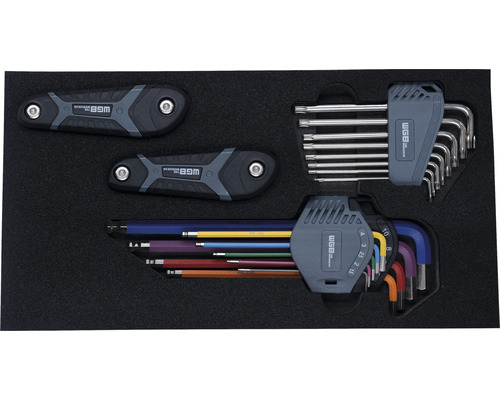 Inbusschlüssel-Set mit verschiedenen Größen und Formen in schwarzer Schaumstoffeinlage