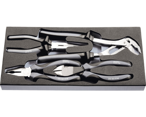 Werkzeugsatz mit verschiedenen Zangen in einer Schaumstoffeinlage