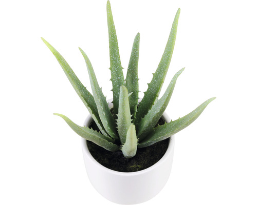 Aloe Vera Kunstpflanze im Topf