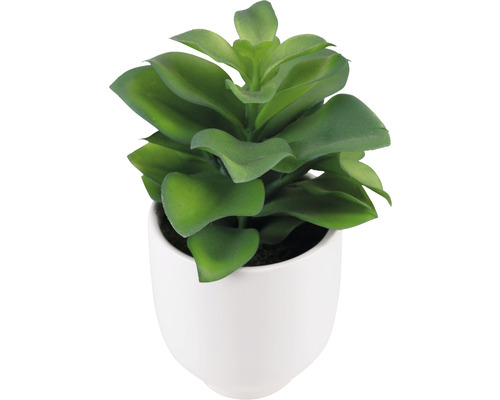 Künstliche Sukkulente in weißem Topf