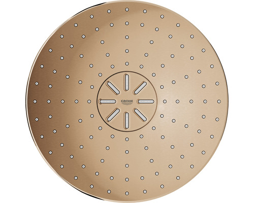 Grohe Duschkopf zur Deckenmontage