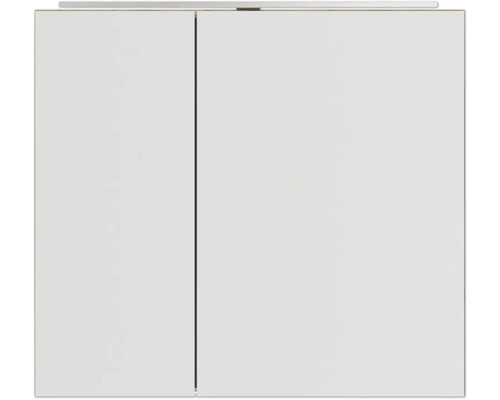 Geschlossener Badezimmerschrank mit zwei Türen