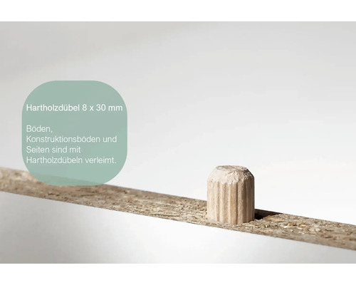 Hartholzdübel 8 x 30 Millimeter in Holzplatte