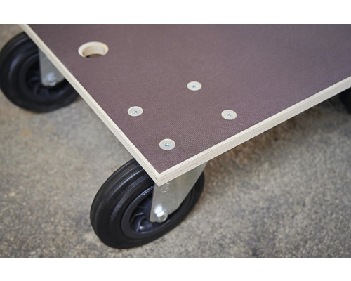 Rollbrett mit Holzplatte und Rollen