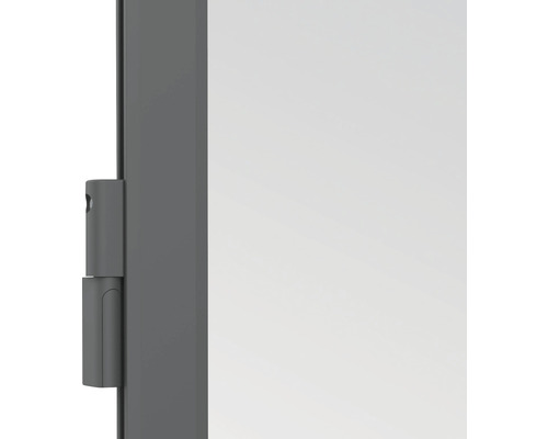 Detailansicht eines Türscharniers an einer Tür