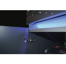 Aquariumkombination EHEIM incpiria 330 marine mit LED-Beleuchtung, Förderpumpe und beleuchtbaren Unterschrank graphit
