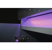 Aquariumkombination EHEIM incpiria 330 marine mit LED-Beleuchtung, Förderpumpe und beleuchtbaren Unterschrank graphit