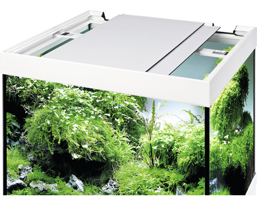 Aquarium mit Bepflanzung und teilweise geöffneter Abdeckung