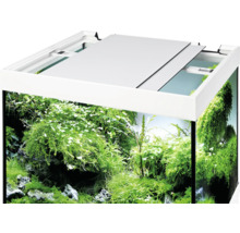Aquariumkombination EHEIM Vivaline 150 mit LED-Beleuchtung, Heizer, Filter und Unterschrank anthrazit
