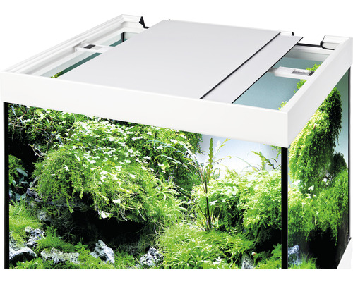 Aquarium Eheim Vivaline Led 150 mit Besatz in Betrieb newest