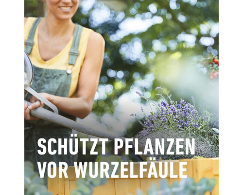 Frau behandelt Pflanzen mit Dampfstrahler gegen Wurzelfäule