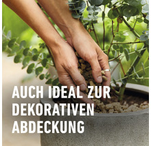 Granuplant Drainage- & Pflanzgranulat COMPO BIO 5 L 100% natürlicher Bimsstein nachhaltige Blähton Alternative