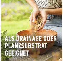 Granuplant Drainage- & Pflanzgranulat COMPO BIO 5 L 100% natürlicher Bimsstein nachhaltige Blähton Alternative
