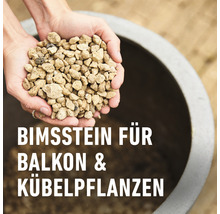 Granuplant Drainage- & Pflanzgranulat COMPO BIO 5 L 100% natürlicher Bimsstein nachhaltige Blähton Alternative