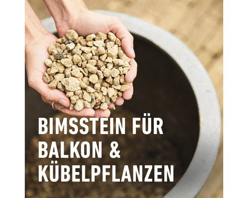 Hände halten Bimssteine für Balkon und Kübelpflanzen