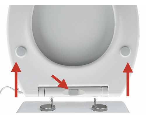 Detailansicht eines WC-Sitzes mit abnehmbarer Funktion