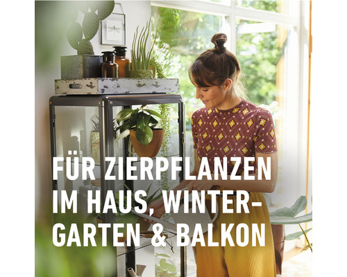 Frau gießt Zimmerpflanzen im Haus, Wintergarten und auf dem Balkon.