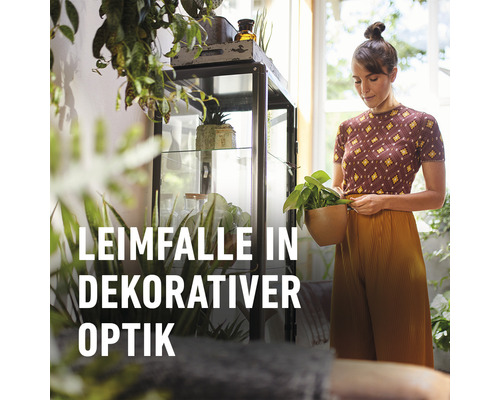Dekoratives Regal mit Glas und Pflanzen in heller Umgebung.