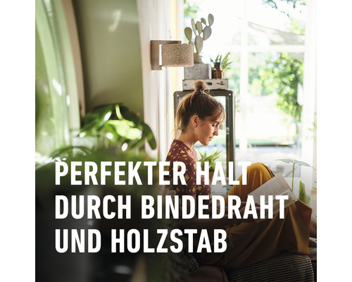 Frau liest in einem hellen Wohnraum ein Buch
