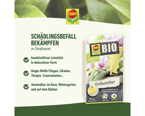 Compo Gelbsticker zur Schädlingsbekämpfung an Zierpflanzen