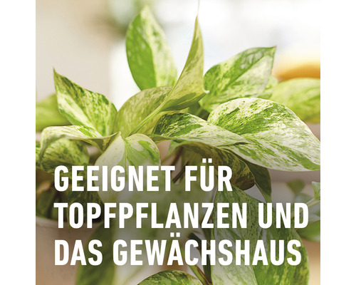 Geeignet für Topfpflanzen und das Gewächshaus.