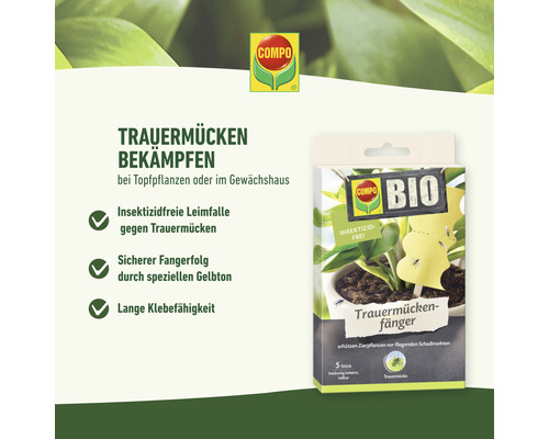 Compo Trauermücken-Fänger Packung zur Bekämpfung von Trauermücken