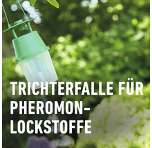 Trichterfalle zur Verwendung mit Pheromon Lockstoffen im Garten