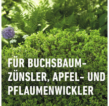 Produkt zur Bekämpfung von Buchsbaumzünsler, Apfelwickler und Pflaumenwickler