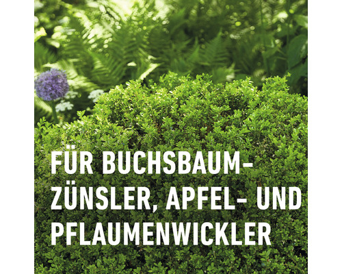 Produkt zur Bekämpfung von Buchsbaumzünsler, Apfelwickler und Pflaumenwickler