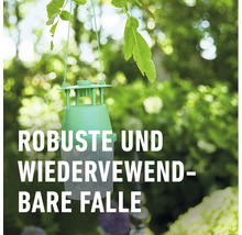 Grüne wiederverwendbare Insektenfalle im Garten