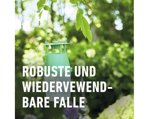 Grüne wiederverwendbare Insektenfalle im Garten