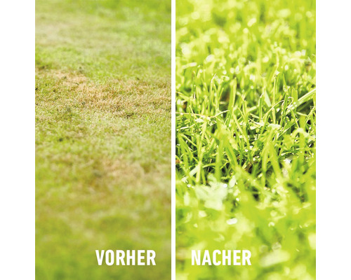 Vorher und nachher: Vergleich von Rasenflächen