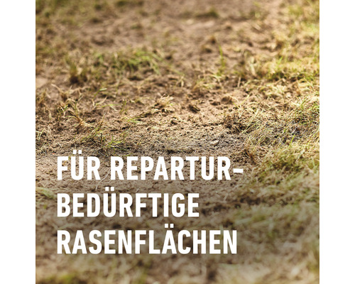 Bild einer Rasenfläche, die repariert werden muss