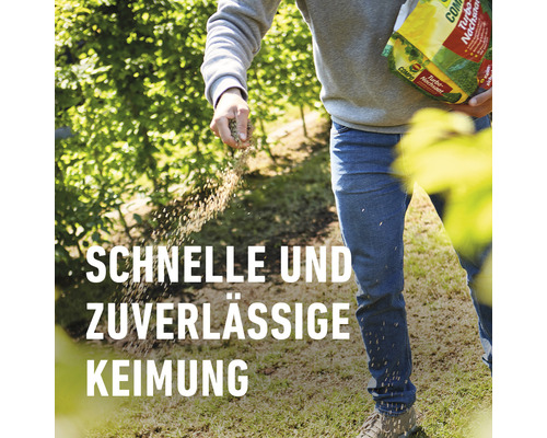 Eine Person sät Rasensamen aus einer Packung Nachsaat auf einer Rasenfläche aus