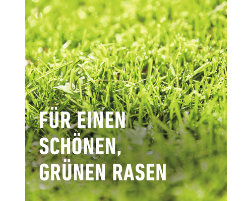 Nahaufnahme von Rasen mit der Aufschrift Für einen schönen, grünen Rasen