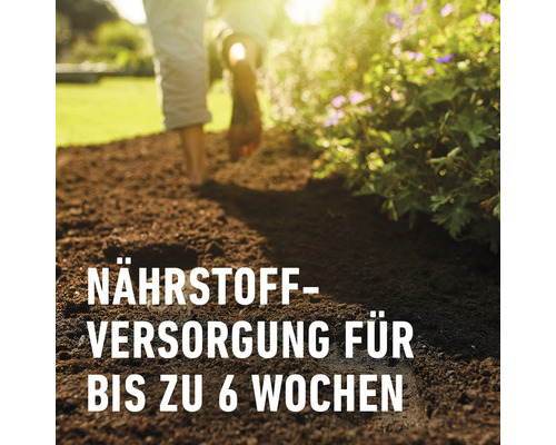 Boden mit Text Nährstoffversorgung für bis zu 6 Wochen