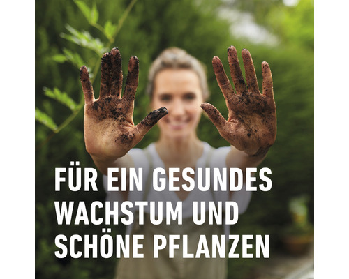 Frau zeigt Hände mit Erde für gesundes Wachstum und schöne Pflanzen.