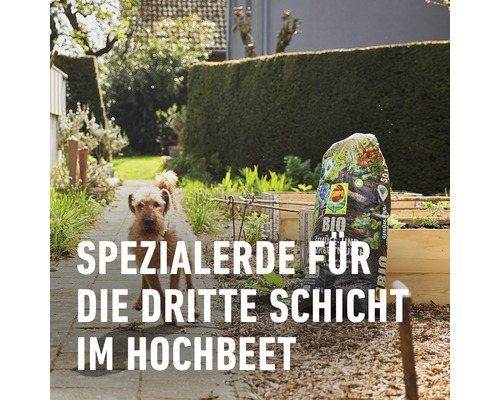 Sack Spezialerde für die dritte Schicht im Hochbeet im Garten neben einem Hund