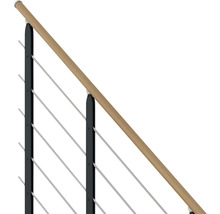 Geländer mit Holzhandlauf, Edelstahlseilen und Metallpfosten