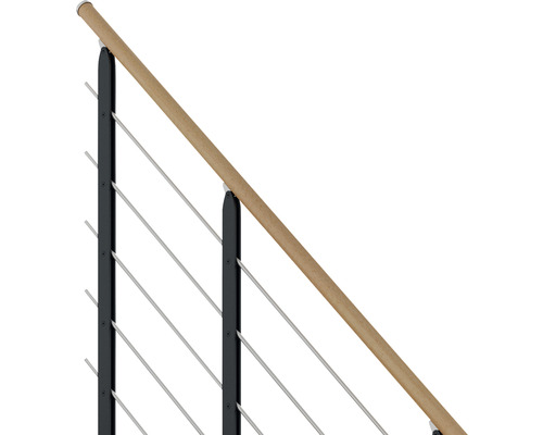 Geländer mit Holzhandlauf, Edelstahlseilen und Metallpfosten